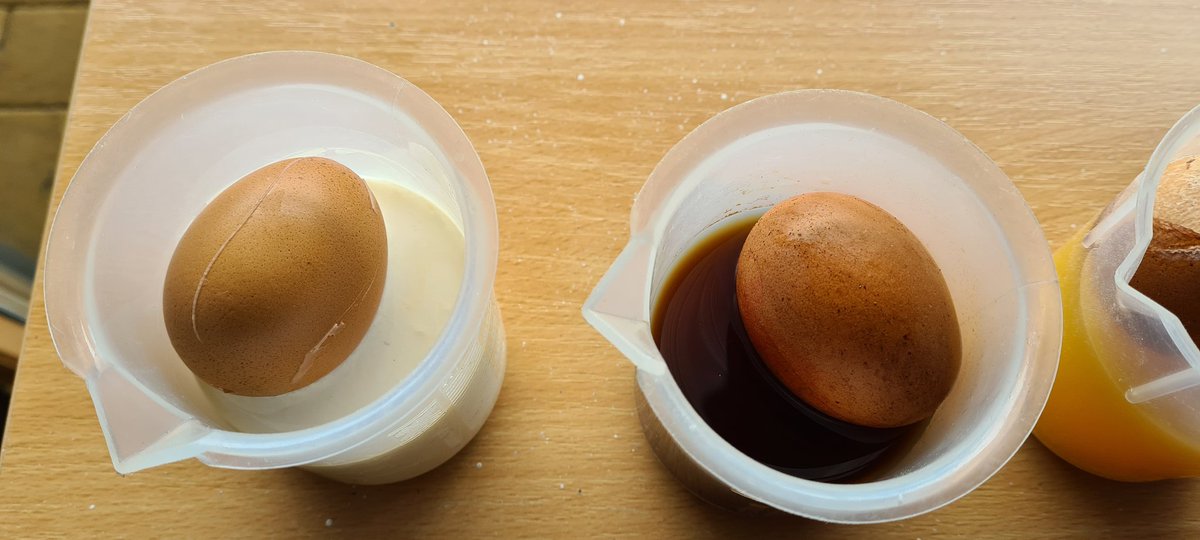 From Day 1 to Day 2 to Day 5... Which drink will you choose from now on? Y4 <a href="/Mayflower_MCA/">Mayflower Academy</a> are astonished with the results so far. I think we will have a lot of water being drunk! <a href="/LauraEastonMCA/">Laura Easton</a> <a href="/sarah_sandey/">sarahsandeyMCA</a> <a href="/pennypetersMCA/">Penny Peters</a> <a href="/DavidSammels/">David Sammels</a> @danspurrierMCA #science #teeth