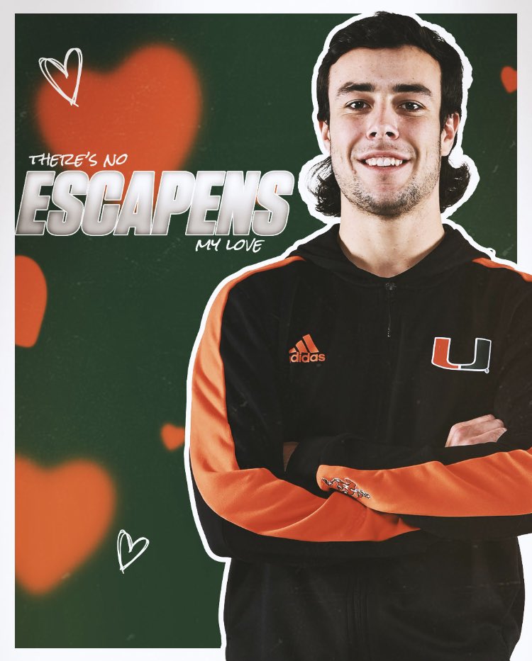 Miami Swim & Dive tweet media