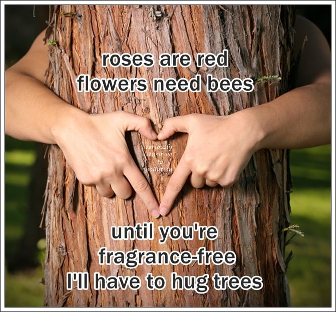 LindaSepp's tweet photo. roses are red
flowers need bees
until you're fragrance-free
I'll have to hug trees
#FragranceFree #ScentFree #ValentinesDay
#ShareTheAir #CleanAir #AccessibilityIsLove
#bees #trees #hugs #HumanCanaries #EnvironmentalSensitivities
seriously 'sensitive' to pollution https://t.co/zpukBLObC5