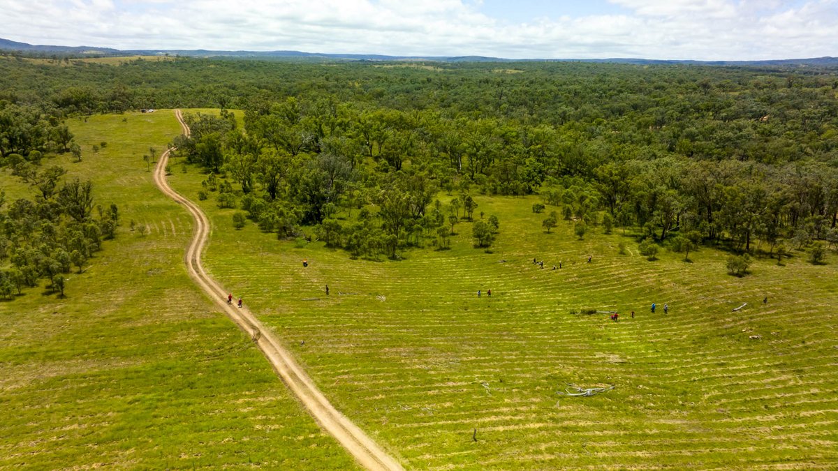 greenforestsw's tweet image. Another successful community day planting in Queensland! 🇦🇺 

We saw a great turnout &amp;amp; lots of smiling faces while community members planted 800 eucalyptus trees. Big thanks to our partners, @arborday and Corporate Carbon! Looking forward to our future projects!🌿