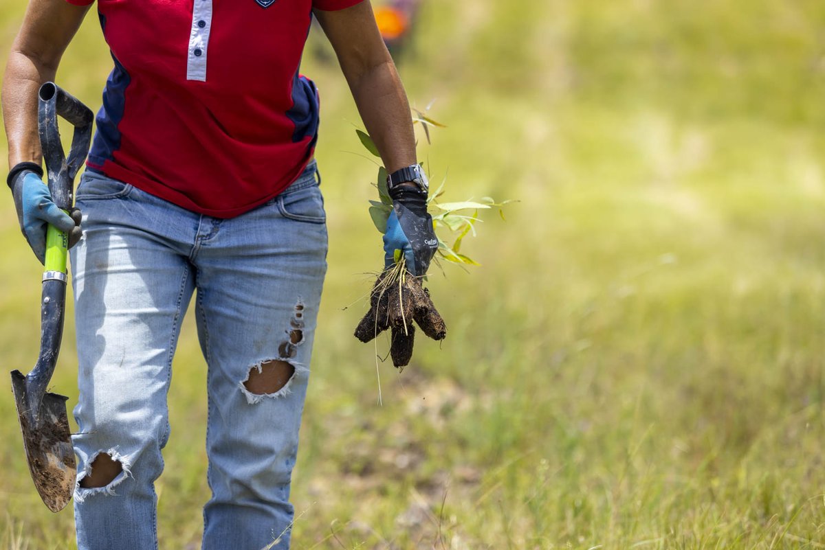 greenforestsw's tweet image. Another successful community day planting in Queensland! 🇦🇺 

We saw a great turnout &amp;amp; lots of smiling faces while community members planted 800 eucalyptus trees. Big thanks to our partners, @arborday and Corporate Carbon! Looking forward to our future projects!🌿