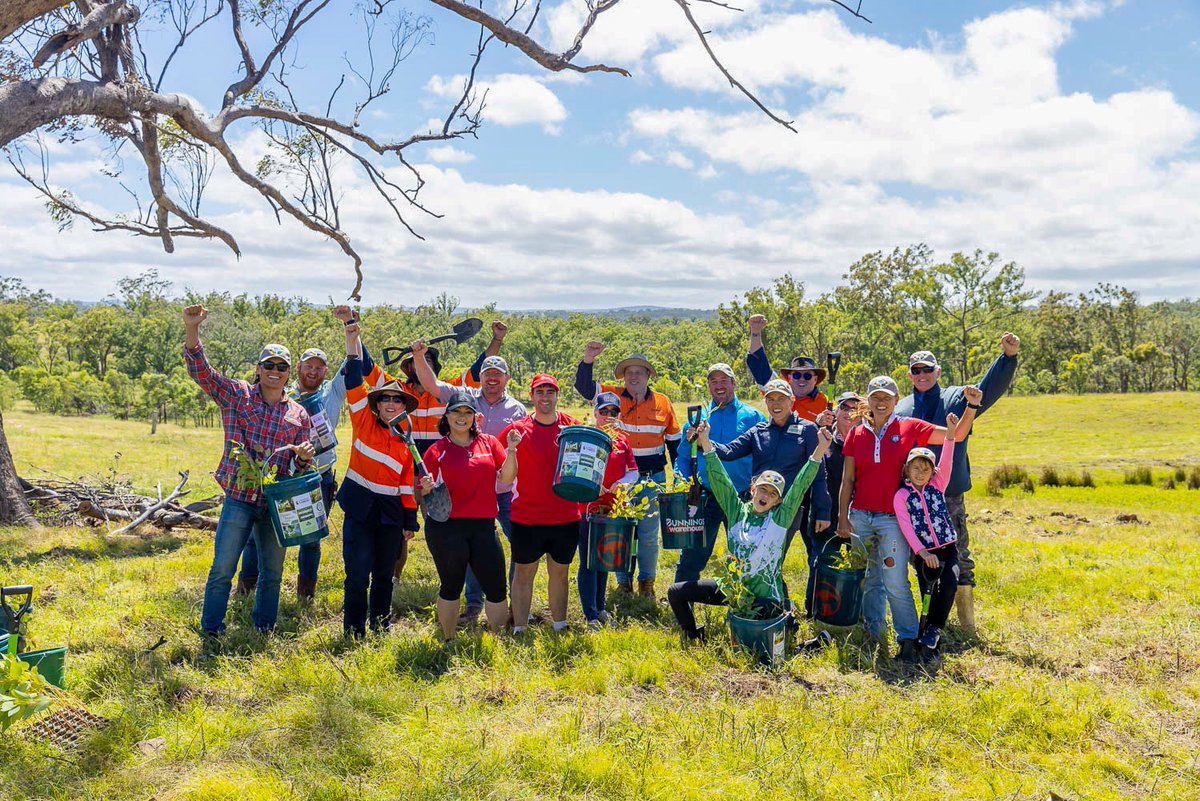greenforestsw's tweet image. Another successful community day planting in Queensland! 🇦🇺 

We saw a great turnout &amp;amp; lots of smiling faces while community members planted 800 eucalyptus trees. Big thanks to our partners, @arborday and Corporate Carbon! Looking forward to our future projects!🌿