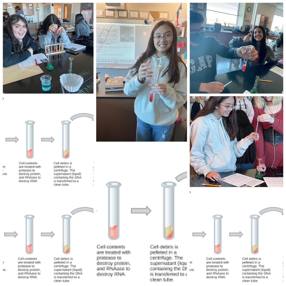 LazareScience's tweet image. Enjoying the extraction of DNA from the 🍓 🧬 #JagScience #deoxyribonucleicacid #DNA