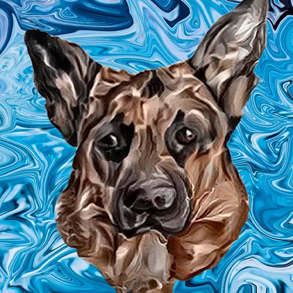 Pets_Vortice's tweet photo. Welcome Meta Pets_vortice, Mint NOW

#nft #metaverse #metaverso #eth #ethereum #polygon #collection #blockchains #bitcoins #nftcollector #opensea #nftart #nfts #nftcommunity #cryptoart #critoartist #openseanft @opensea https://t.co/z6zgY4qaDb