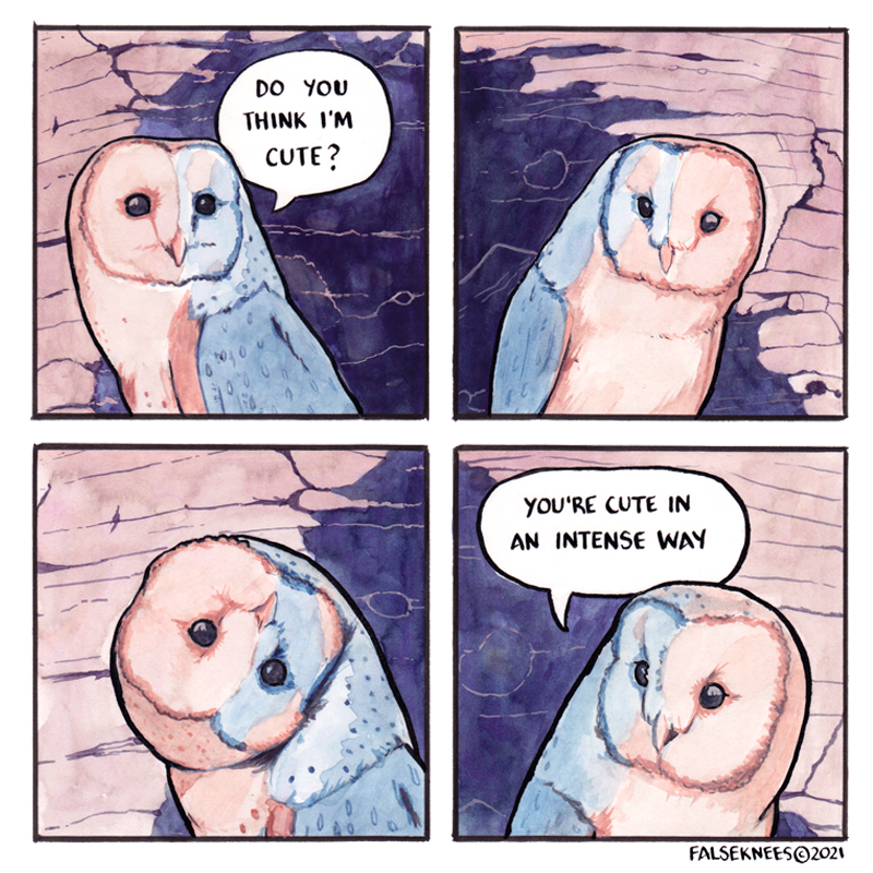 False Knees tweet media