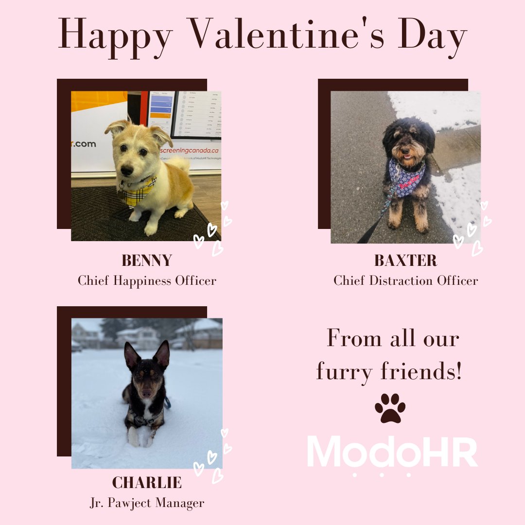 screeningcanada's tweet photo. Happy Valentine's Day to you and your loved ones! From all of us including our four-legged team members #HappyValentinesDay #hrtech #backgroundscreening https://t.co/3TzgWg2eE3