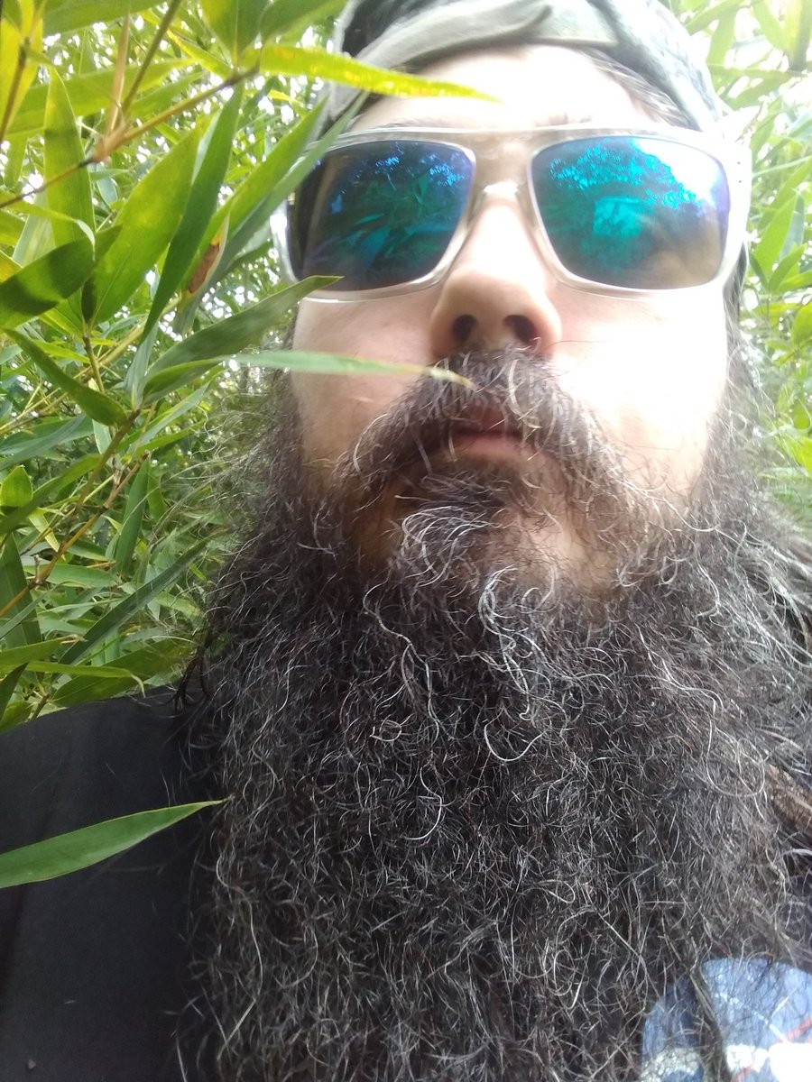 when I say that <a href="/CCSC_official/">CryptoCelestials</a> is carbon neutral it's not because I bought some "carbon credits" it's because over the last decade I've cultivated an old growth bamboo forest that's soaked up 2x my total carbon emissions over the last ten years

built different