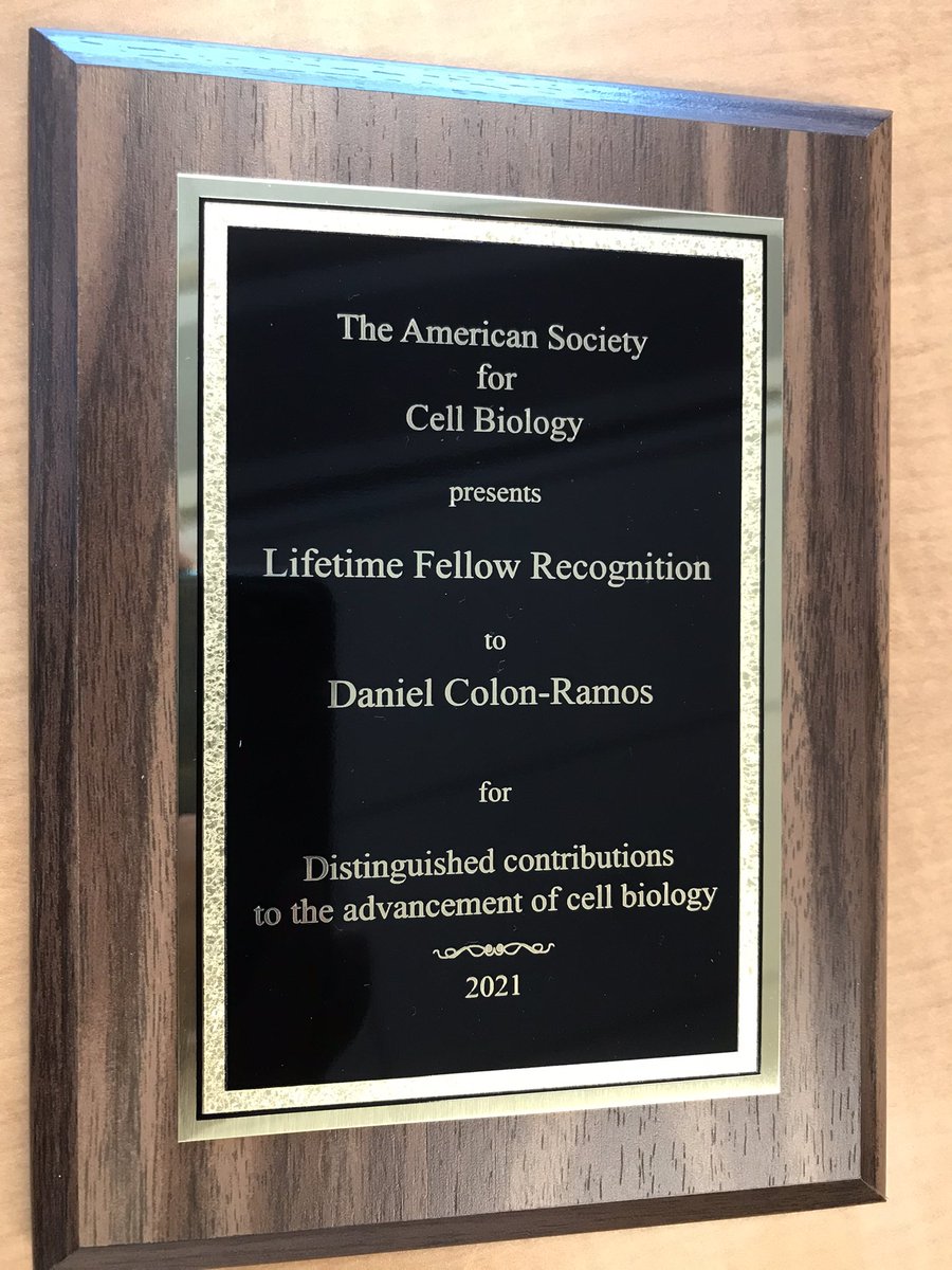 Daniel Colón Ramos tweet media