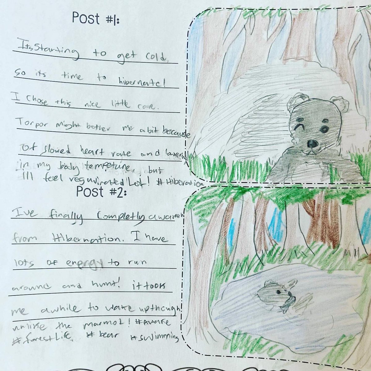 imaginationlab1's tweet photo. What would an animal post on social media? After our mini hibernation investigation, Ss got creative with before and after social media posts from the perspective of a hibernating animal! #hibernation #animals #socialmedia #creativity https://t.co/HjHimM742x
