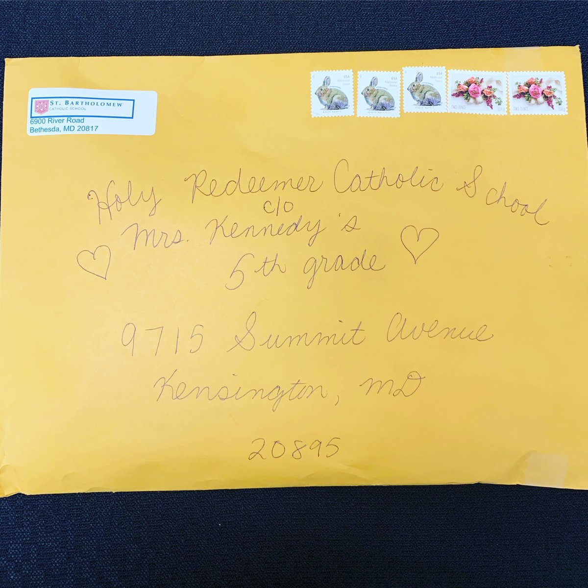 Sharon Kennedy tweet media