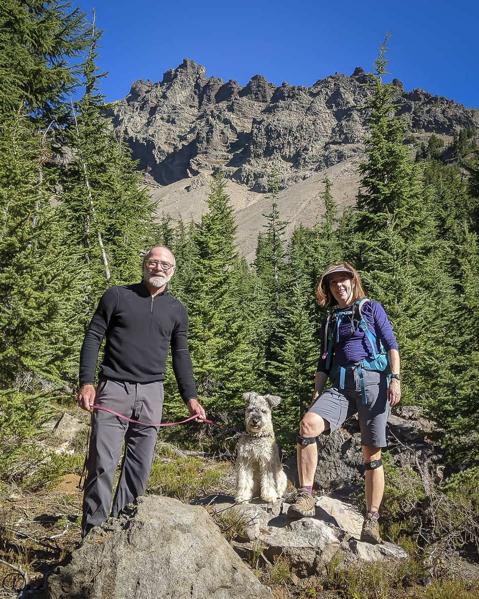 Governor Kate Brown tweet media