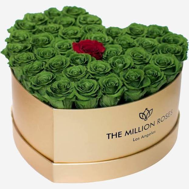 RevisingRaven's tweet image. Your smile is like Expelliarmus: simple yet disarming. 💚

Happiest of Valentine’s, my sweet snake!