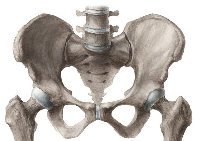 JGoligher Colorectal (@jgcolorectal) on Twitter photo John Goligher Colorectal Fellowship: pelvic exenteration and pelvic floor themed fellowships available this Aug/Oct <a href="/LTHTAMS/">Abdominal Medicine & Surgery</a>. See: tinyurl.com/38uht7cw #colorectalsurgery #fellowship John Goligher Colorectal Fellowship: pelvic exenteration and pelvic floor themed fellowships available this Aug/Oct <a href="/LTHTAMS/">Abdominal Medicine & Surgery</a>. See: tinyurl.com/38uht7cw #colorectalsurgery #fellowship