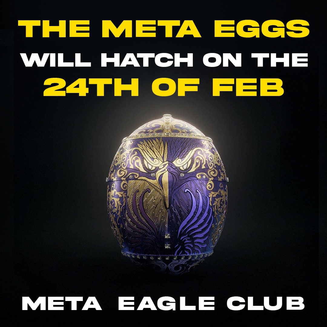 Meta Eagle Club - GalyVerse tweet media