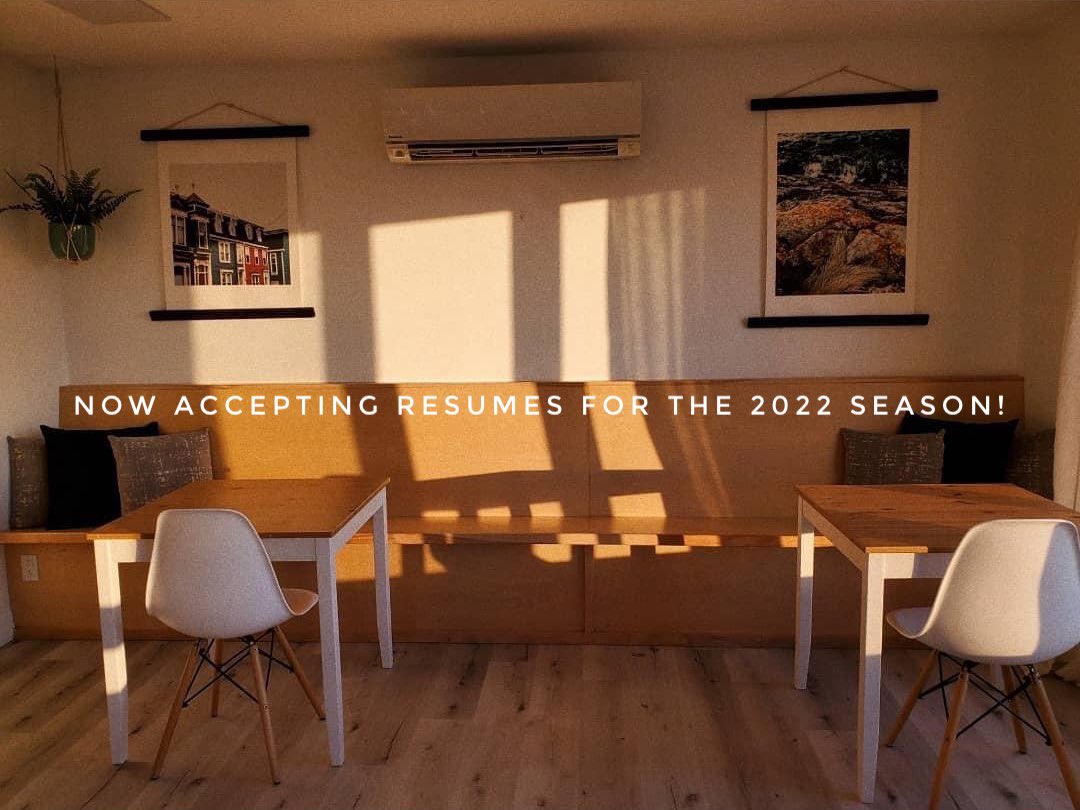 forknl's tweet photo. We are hiring for the 2022 season! Please send resume to forkrestaurantnl@gmail.com https://t.co/z9bg28TlUu