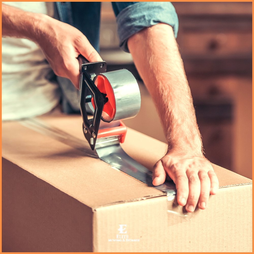 EliteMovingStor's tweet photo. Our expert movers are standing by to help you with all of your moving and packing needs.

Contact us today!
📞 (888) 693-9080
💻 https://t.co/XztCumnkVz

#elitemoving #commercialmoving #movingcompany https://t.co/FDYFGe5qnq