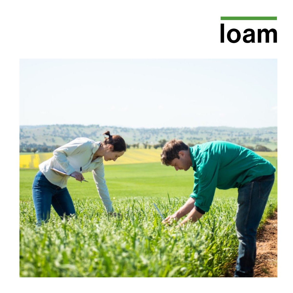 Loam has a great new role in our on-farm trial program. You'll be working with R&D leaders, research agronomists and product managers to demonstrate and deliver impactful carbon sequestration products for farmers. Join us! 🇦🇺👉 ow.ly/aX6Y50HTY4k