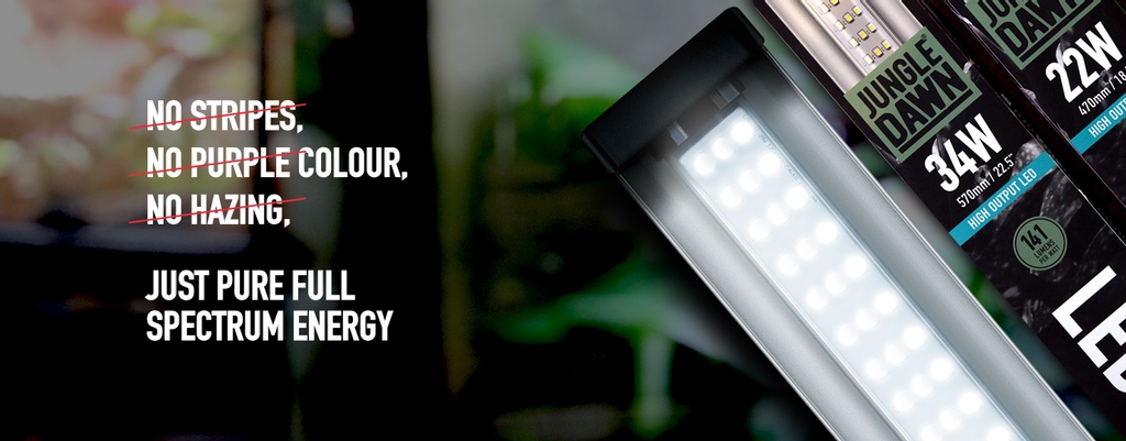 Cornelsworld's tweet photo. Looking to go bioactive?  If so you need these LEDs.

Using a specifically designed exclusive mix of the latest High Output LEDs we have created an LED BAR that projects a vast quantity of light with a very high PAR value over a wide area as a flood. 

#reptile #scaled https://t.co/2iXl8gbM10