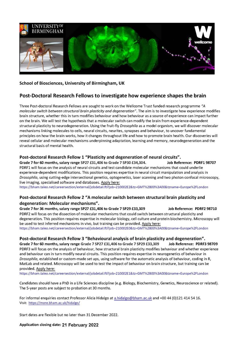 AliciaAHidalgo's tweet photo. Last few days left to apply: Three Post-doctoral positions to investigate the molecular link between structural brain plasticity, degeneration &amp; behavior. 1 for cell biology, 2 for molecular &amp; protein, 3 for bevaviour.
Application deadline 21 February.
#postdocjobs https://t.co/uCRazPuIJv