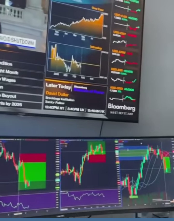 Kimsooklucy's tweet photo. We go back to business #crypto investment https://t.co/DNBkeq11Iy