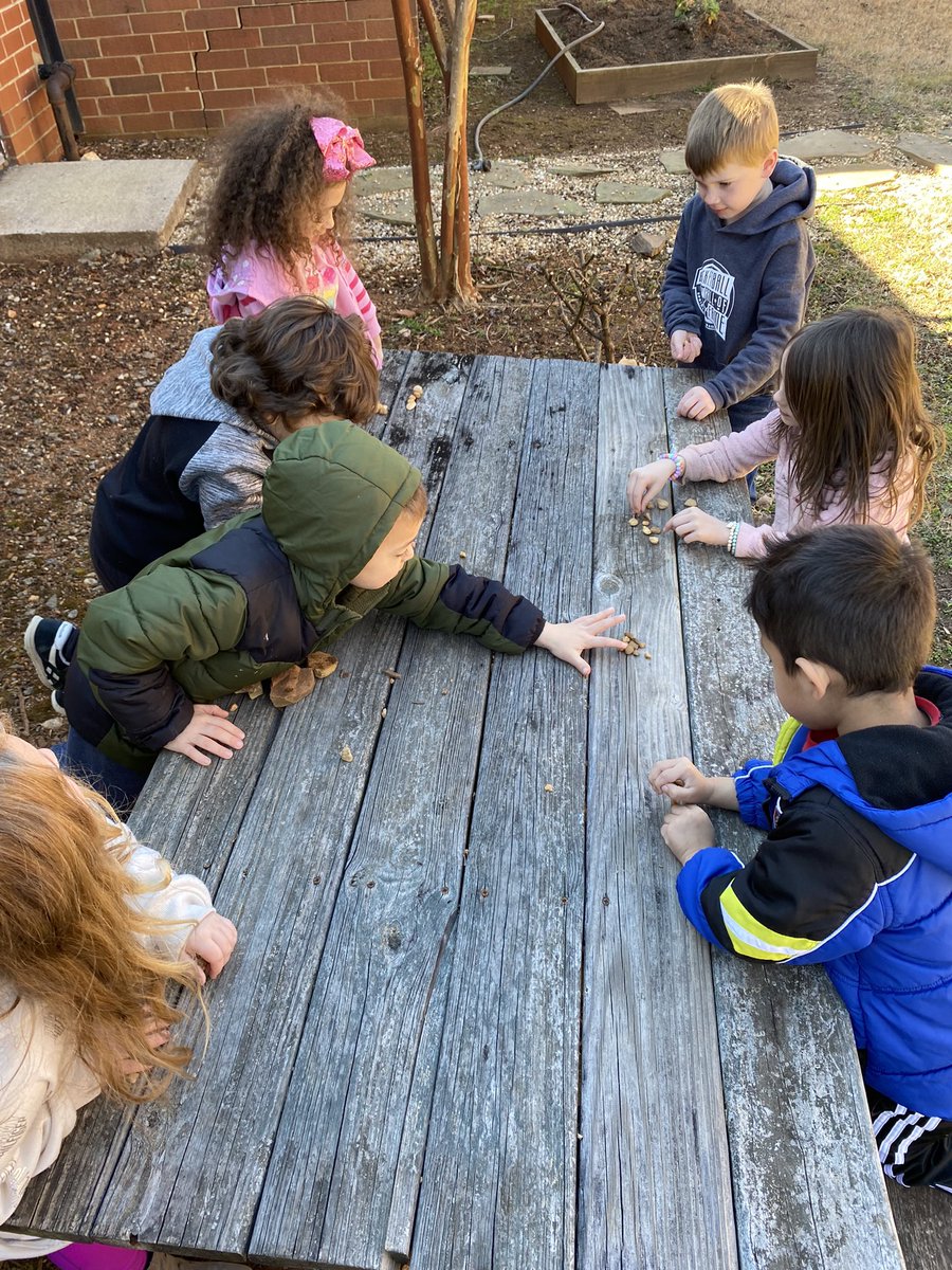 Dana Studer tweet media