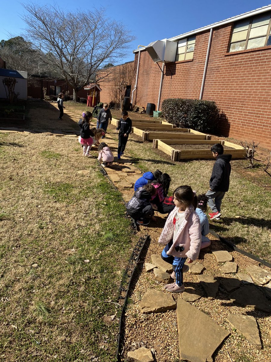 Dana Studer tweet media