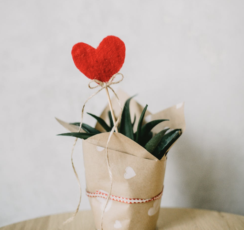 impactutah_'s tweet photo. We love what we do because of people like you! Wishing you all a happy Valentine’s Day. ❤️
#valentinesday #impactutah https://t.co/lkU0e2IMwW