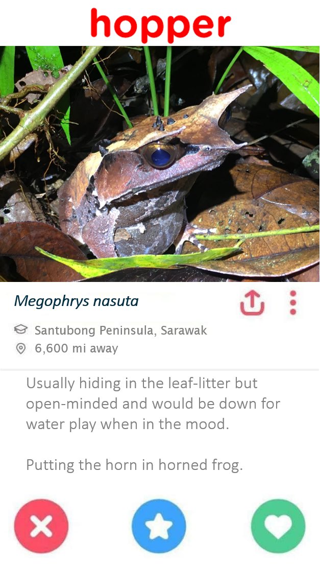 Jennifer Sheridan tweet media