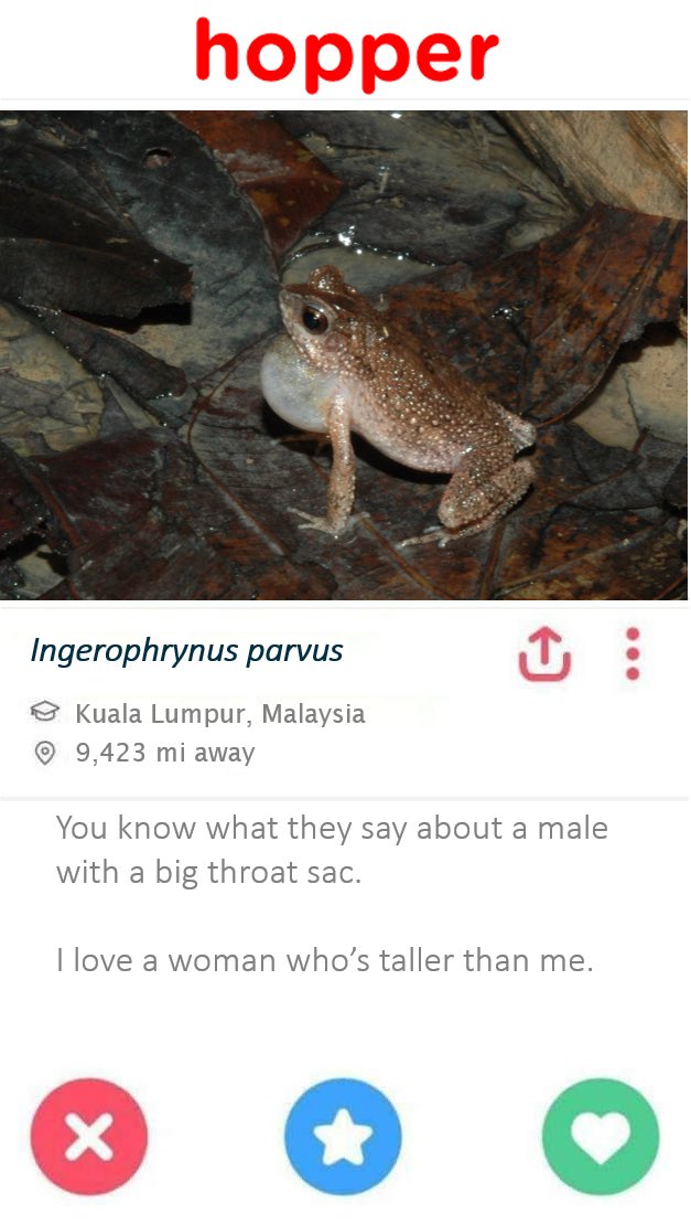 Jennifer Sheridan tweet media