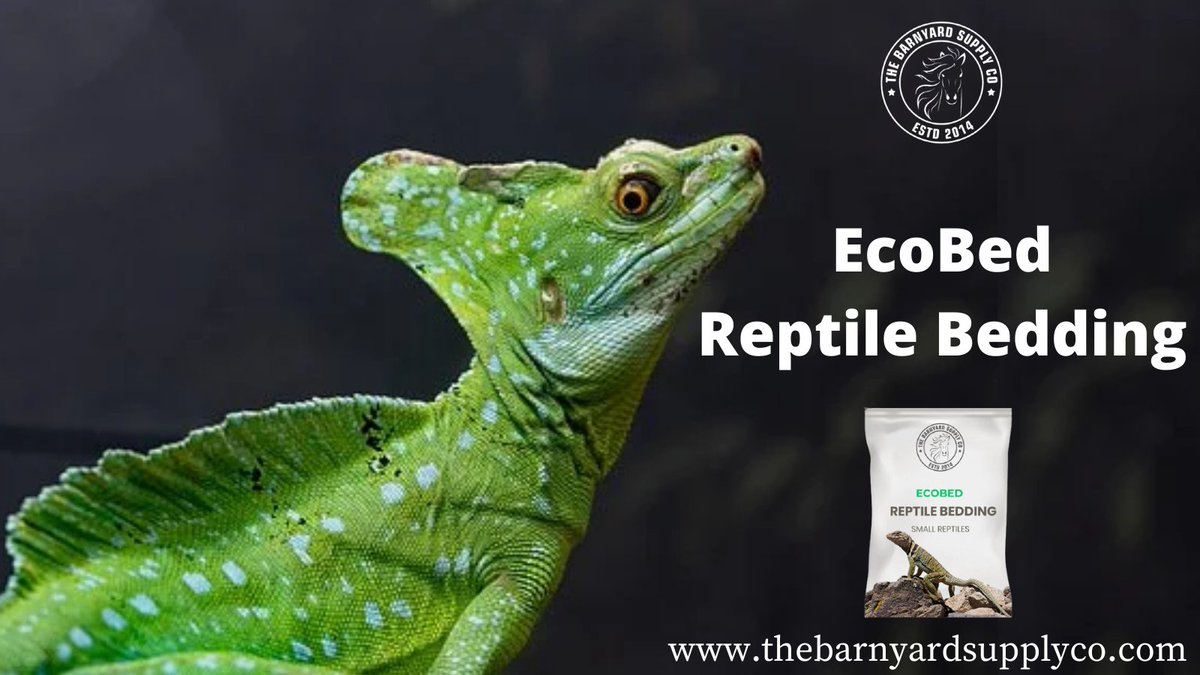 BarnyardSupply's tweet photo. This natural extract is completely devoid of toxics and are absolutely biodegradable.

Shop now: https://t.co/ldQOA7SZQu

#Reptiles #exotics #reptilebedding #beddingforexotics #Reptilebedding #Coconuthuk #Cocobedding #EcoBedReptilebedding #Thebarnyardsupplyco #California https://t.co/dFYiqlwthg