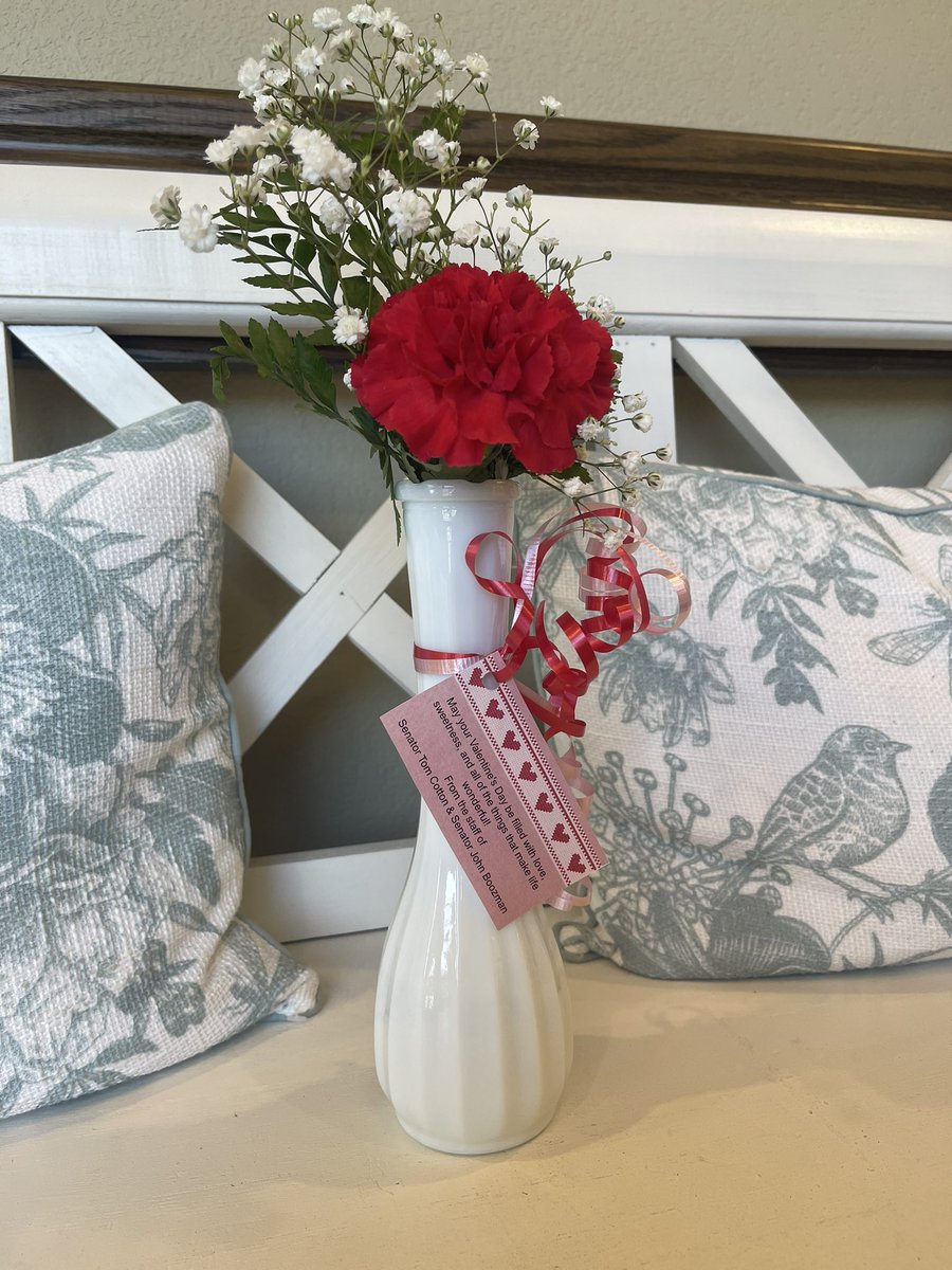 mvsl_1961's tweet photo. A big THANK YOU to the offices of Senator Tom Cotton &amp; Senator John Boozman for helping us deliver Valentine’s Day Flowers to our special residents! 

#mvsl #seniorliving #happyvalentinesday https://t.co/b02g3QWmN9