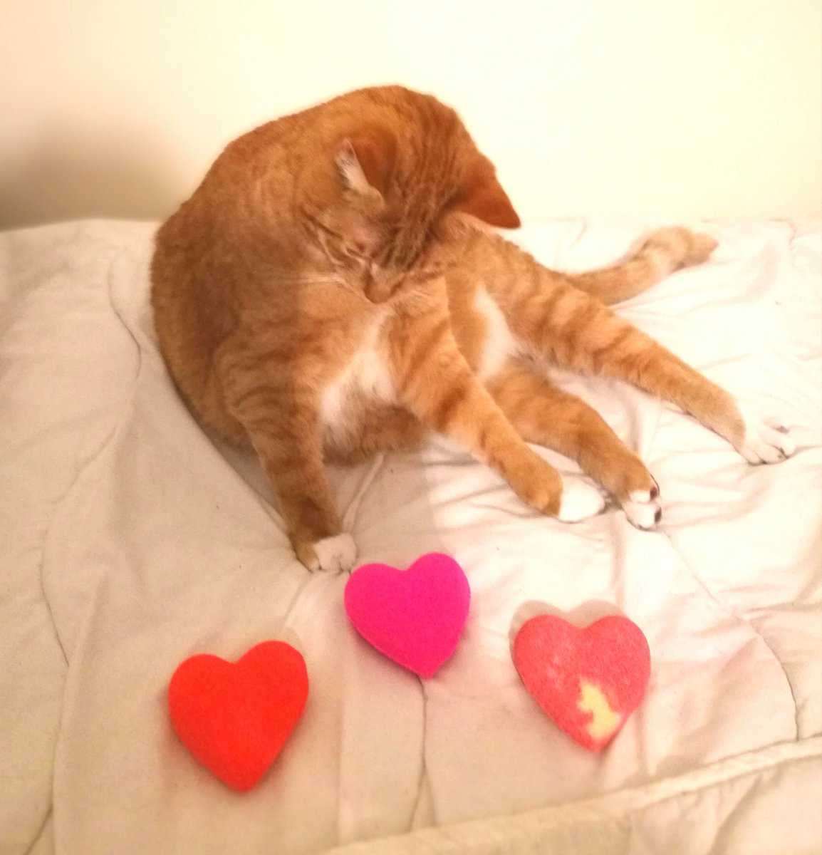HelenaVictoriaD's tweet photo. Unlike National Boyfriend Day, #Valentine’sDay isn’t just for the boyfriends — anyone and everyone can be shown some love today.

Happy Valentine’s Day! 

#14February https://t.co/VQft4NNX8D via @natltoday https://t.co/HLAJmboq33