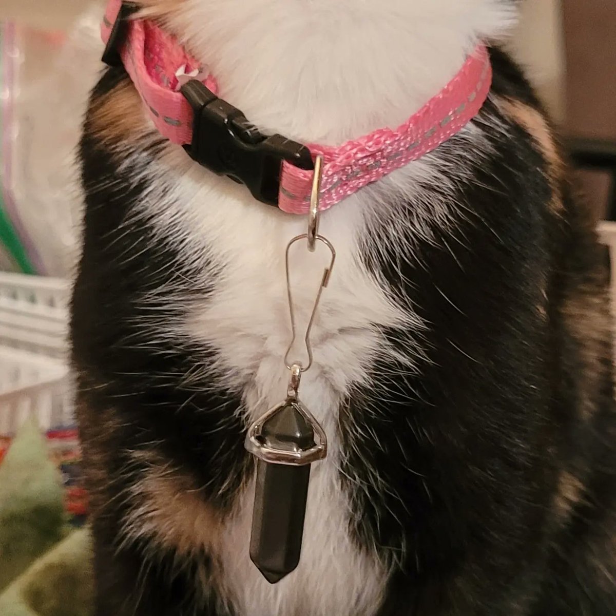GG2treasures's tweet photo. Check out our Fur Baby Protection Stone. Clips right onto their collar....for your kitties or doggies https://t.co/aXcNVdgdAb 
Thanks for looking😍 https://t.co/eLbQA4E84j