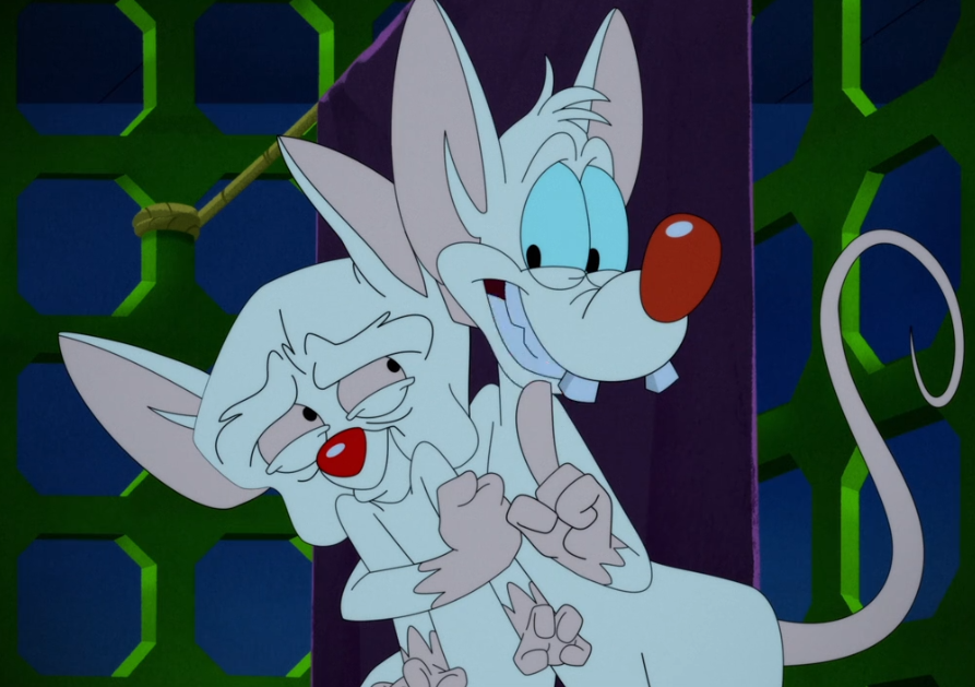 comfortbrainn's tweet photo. happy valentines day to pinky and brain only! theyre on a date as we speak https://t.co/60x7FwJtUf