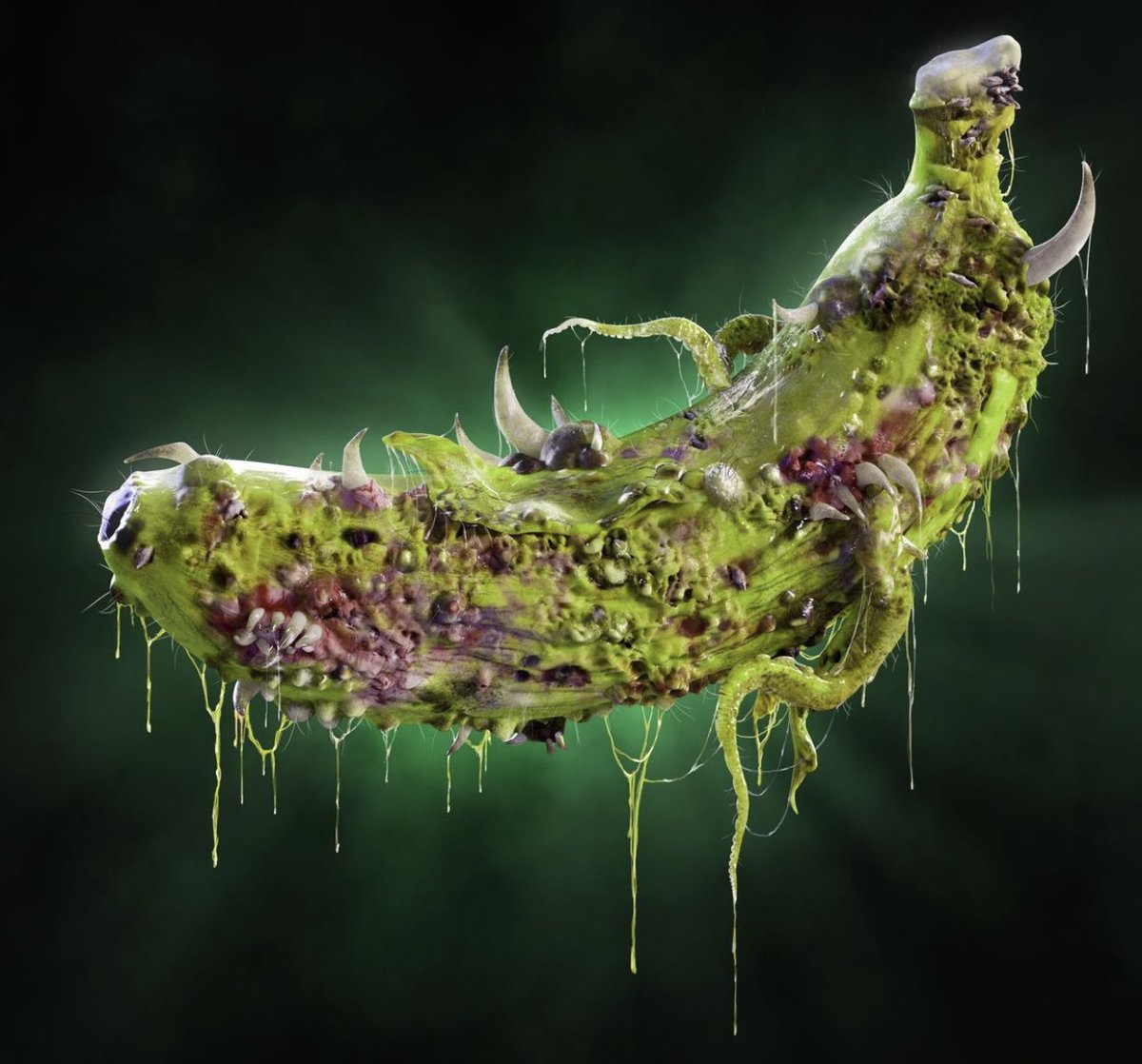 MikeWillMintIt's tweet photo. @NFTJuliette @PrimeApePlanet check out the poisoned bananas that are coming and the infected apes they will make. Lvl 1 &amp; 2, lvl 3 has not been seen yet! #primeapeplanet #infectedapes https://t.co/m6hTCpHM0G