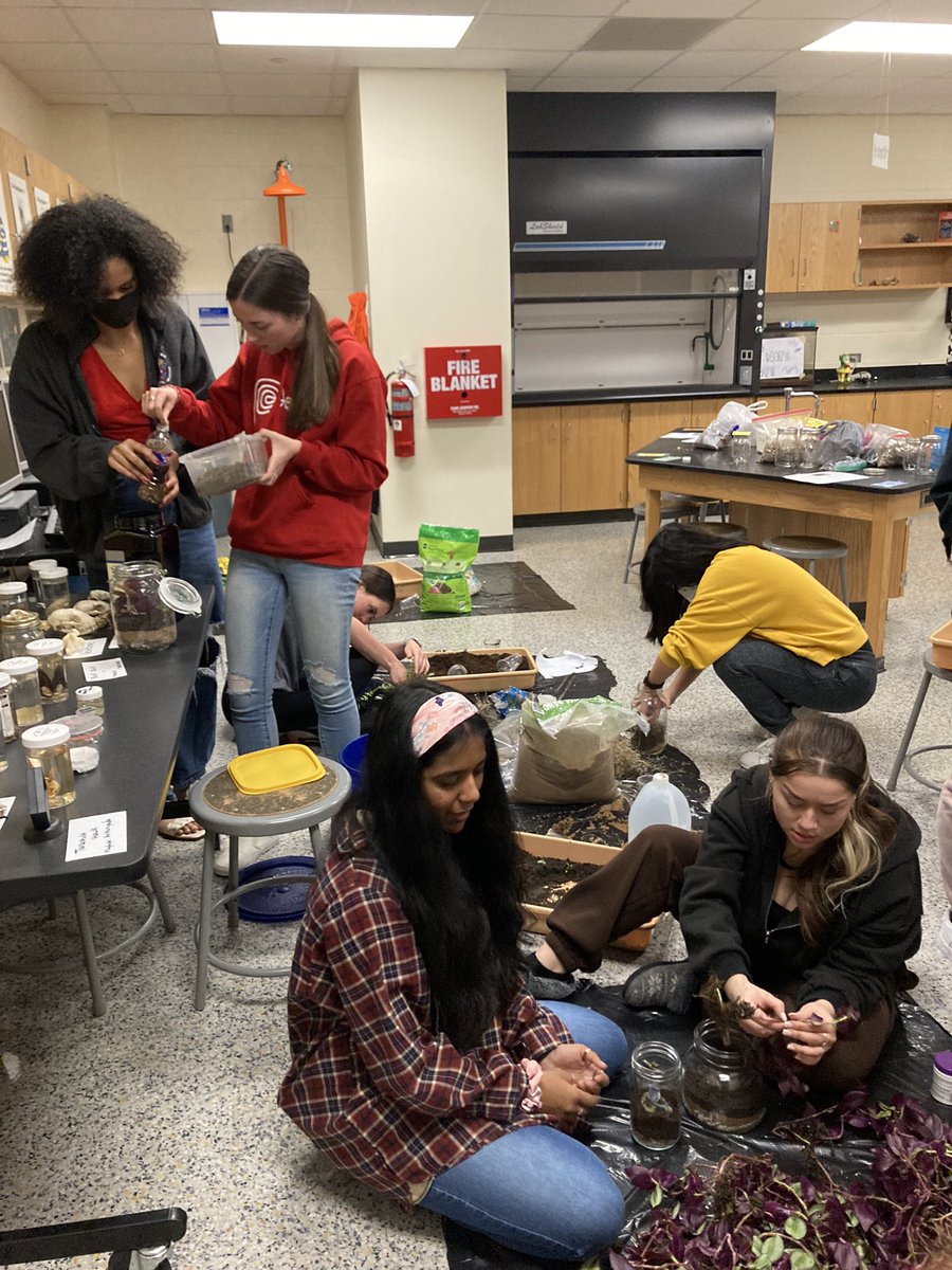 Awesome day building mesocosms!! Made with love!! ❤️❤️❤️