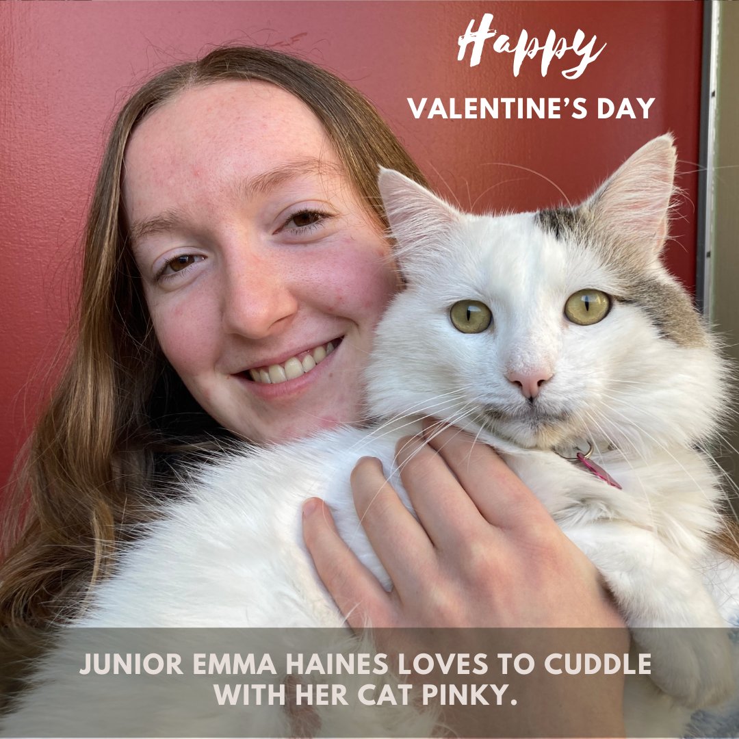 The Blue Devil HUB tweet media