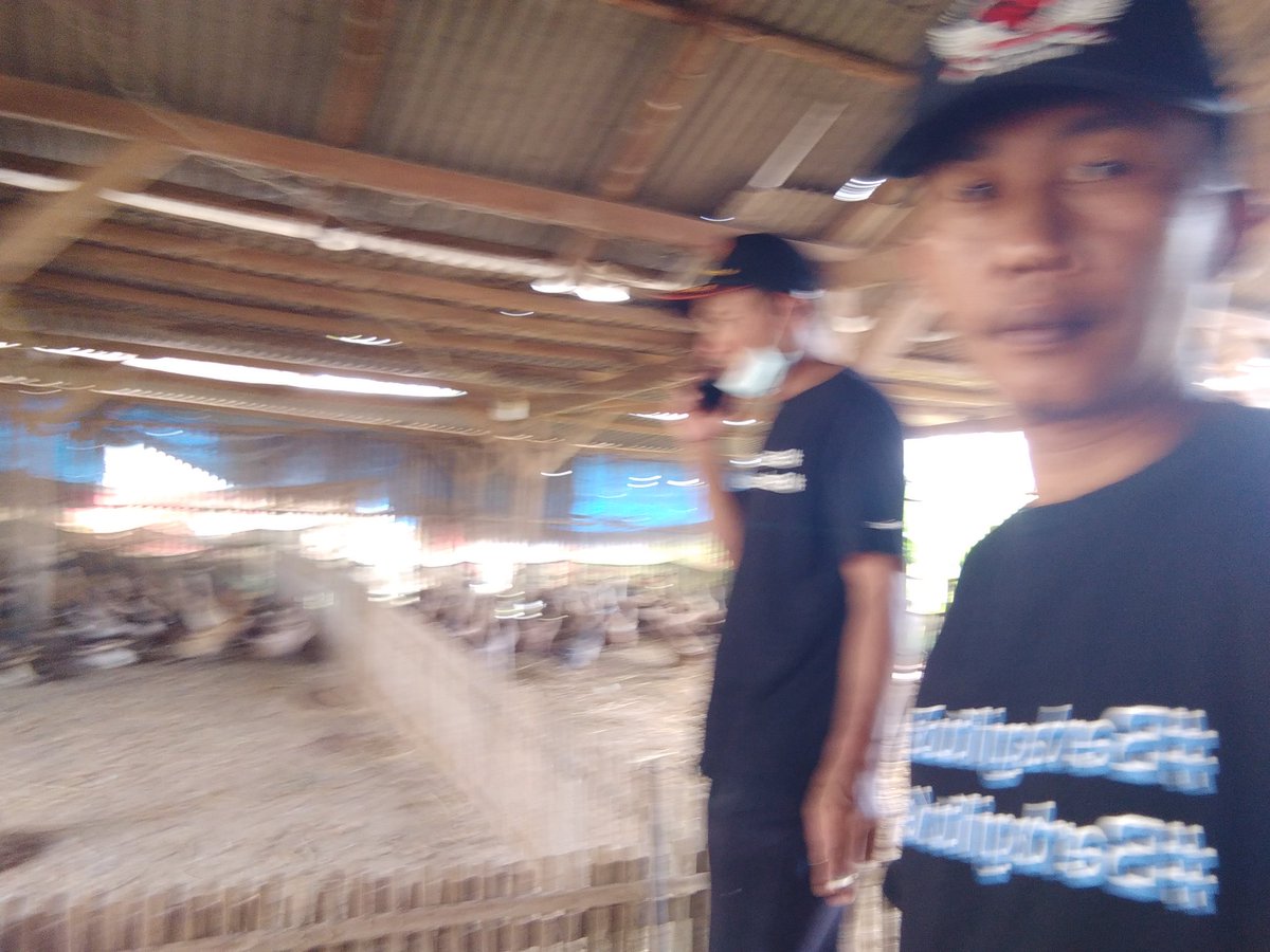 ndocknu's tweet photo. Belajar ngitung Bebek, @marufsirojudin1
@ndansonteng 
@WagimanDeep212_
@sherpa701
@Dee_01984 @lia_lia42891402 Siap Exsekusi Go to Nanda Pesawaran, Semoga Berkah https://t.co/UUuWJqcat5