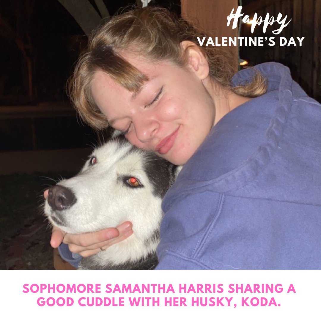 The Blue Devil HUB tweet media