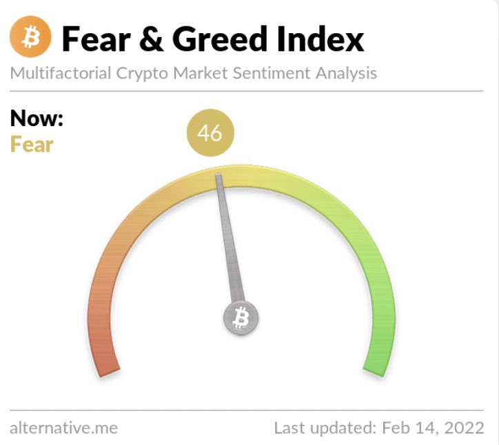 daves4est's tweet photo. No #fear, no  #ValentinesDay… #cryptocurrency #BTC #holding #BTCLOVER https://t.co/rJmwWQcBwU