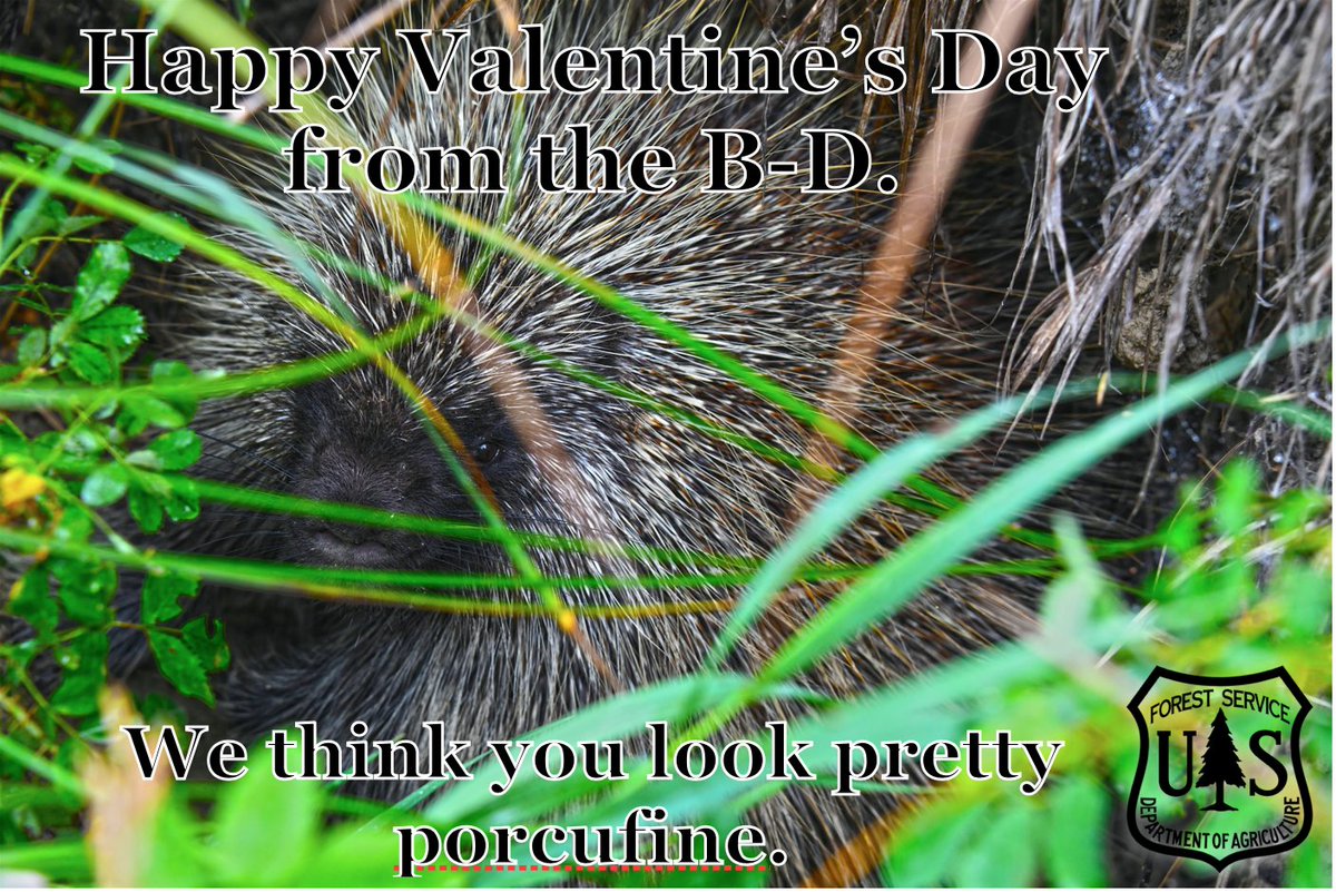 Good afternoon. We hope you are enjoying the day today and get a little chuckle from my attempt at a Valentine's Day 'e-card' to you all from the B-D.

#BetterTogether #BbarD