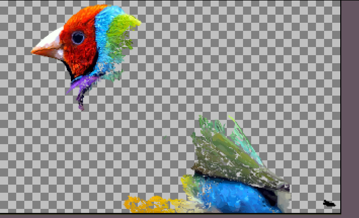MaxArtp0w's tweet photo. Still alive! 
#Wip #pixelart #bird #finch #aseprite #digitalartwork https://t.co/u2Ilh81jqu