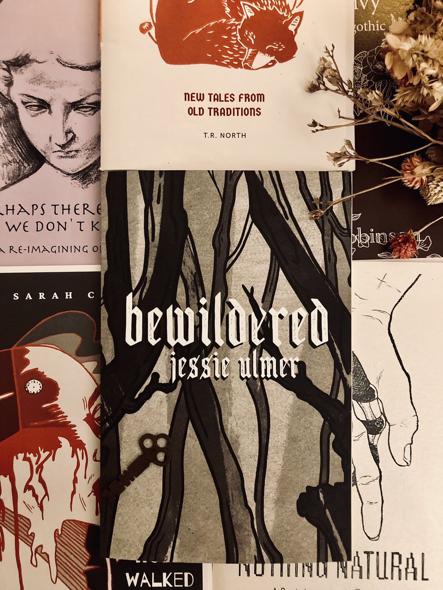 “Gretel woke the woods, the many thousands of birds…”

happy book birthday to BEWILDERED from <a href="/JessieSwanUlmer/">Jessie Ulmer</a> &amp; <a href="/swordandkettle/">Sword & Kettle Press</a>!