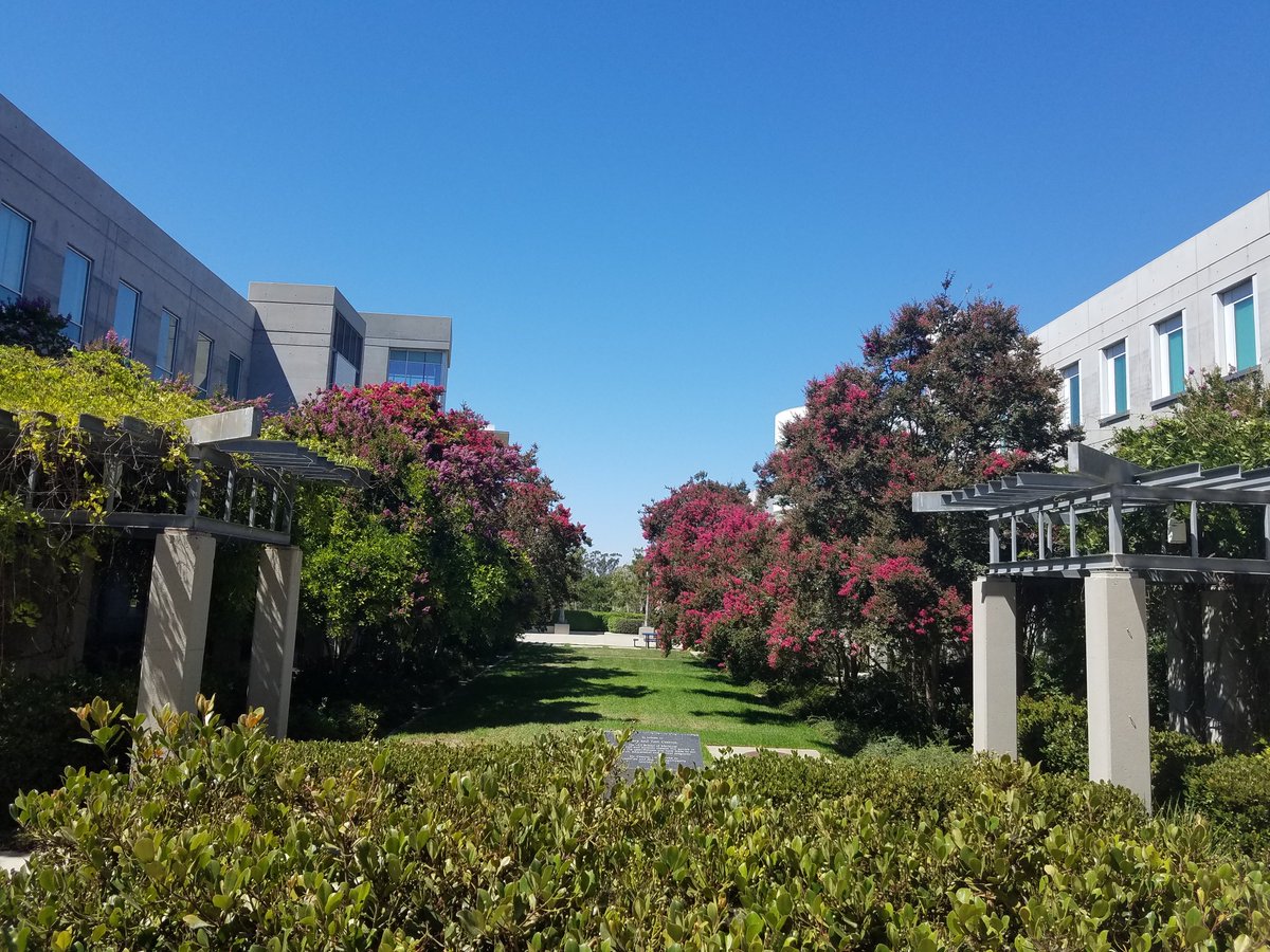 We're recruiting 1-2 postdocs to study epigenomic mechanisms of early life adversity's impact on reward behaviors. Use sc-transcriptomics etc, in TRAPPed amygdala, NAc, PVT cells. Interact with an inclusive, collaborative group. ⬇️
faculty.sites.uci.edu/baramlab/
contecenter.uci.edu/open-positions/