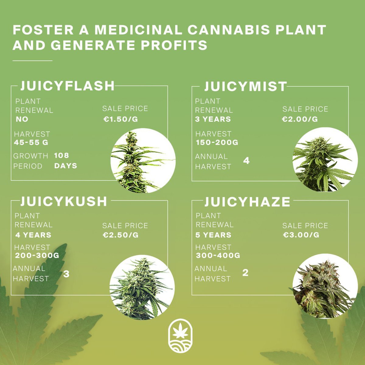 CInvestDaily's tweet photo. Grow cannabis. It’s profitable!

Join Here: 

https://t.co/UQqTicXfdk

#Cannabis #Invest #LetsGro #MedicalCannabis #CBD https://t.co/nUsxN902te
