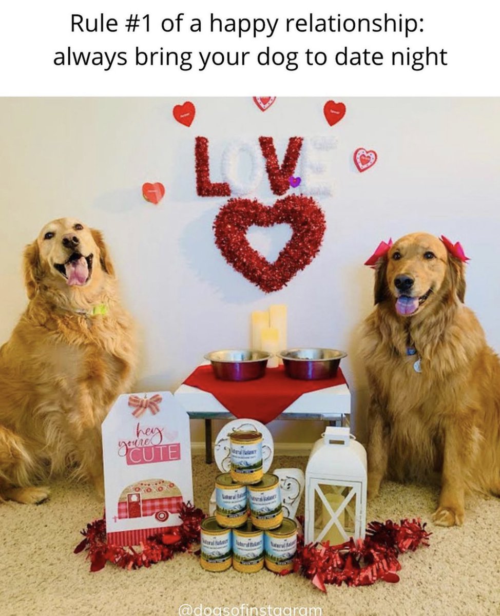 Happy Valentine’s Day! How do you show your special furriends you love them? By feeding them real food made with real love, of course! @NaturalBalance Limited Ingredient Recipes have everything you want to feed your dog and nothing you don’t: amazon.com/stores/Natural…