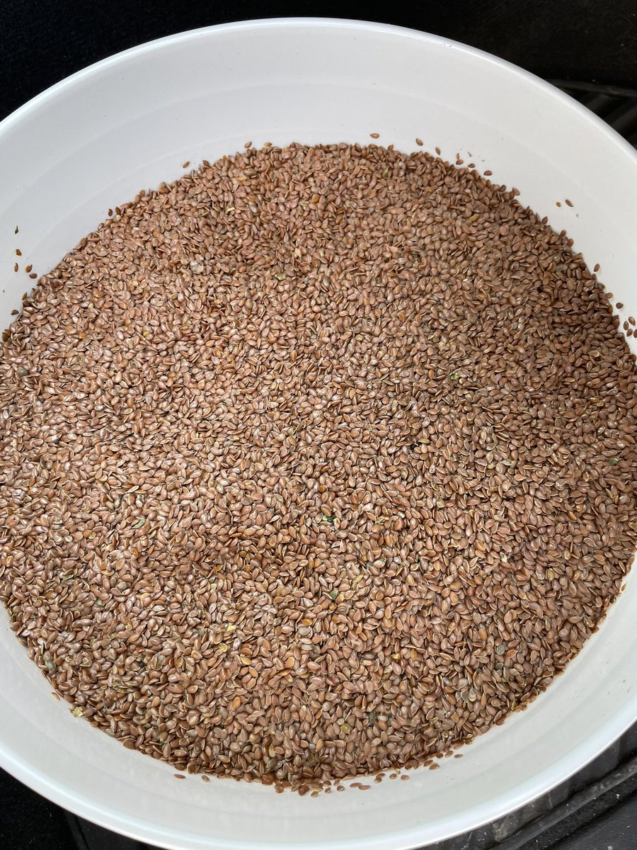 Got a JUMP on #Trial22 seed pick ups today, 1st of the year Thx to <a href="/blumer_seeds/">Blumer Seeds</a> Brand new CDC Rowland #flax Give them a shout if looking for the thimble full they have left 🤣 for #plant22 or any other varieties like CDC Defy #durum &amp; AAC Starbuck VB #wheat #nextbigjumpinyield