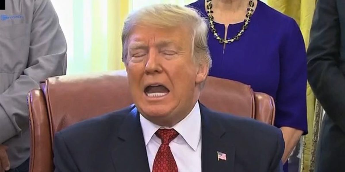 Politics_PR's tweet photo. Mazars letter 'amounts to a declaration' that Trump 'repeatedly misled' them about finances: legal expert https://t.co/qMdFHoIRkm https://t.co/926n19q1mQ