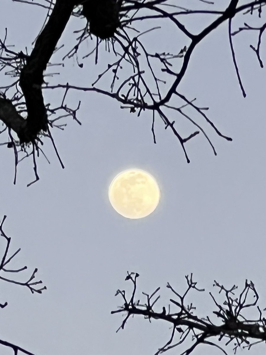Valentine’s Moon 🌝