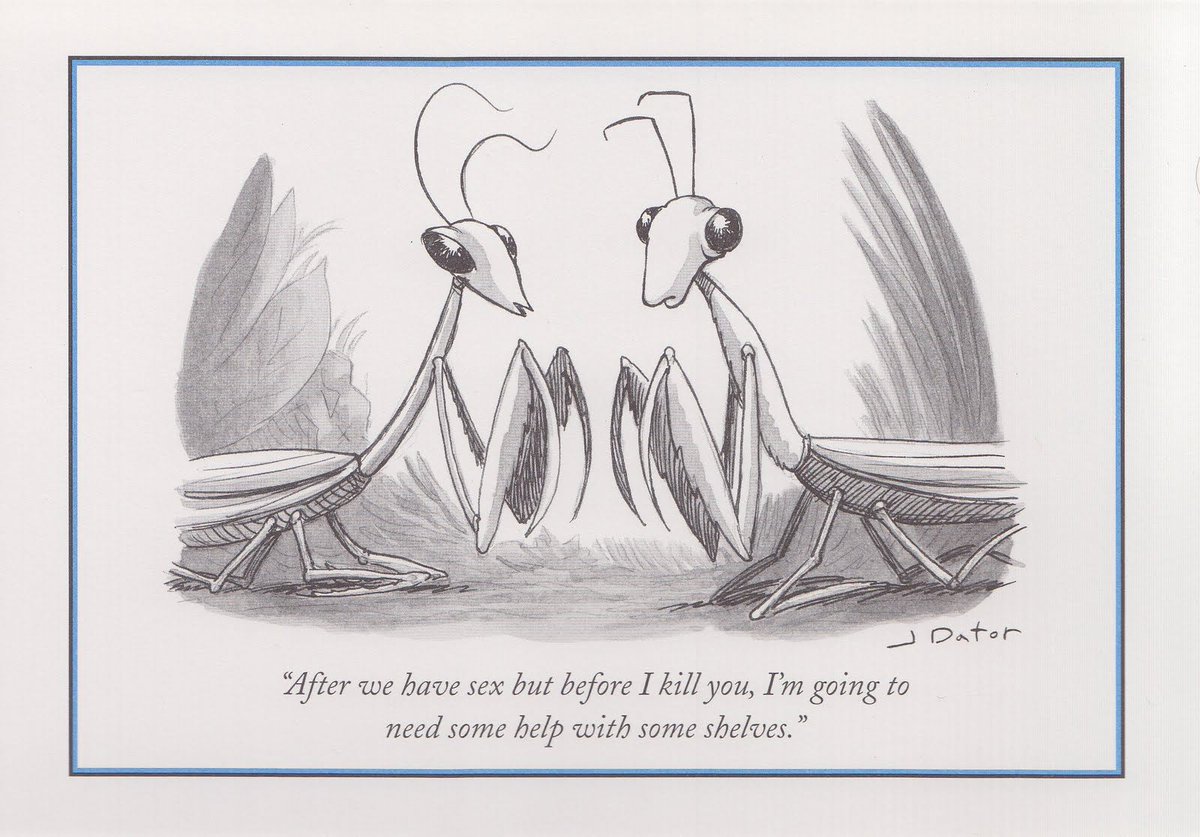 SarahMaizes's tweet photo. Happy Valentine's Day one and all! #ValentinesDay #marriage #relationships #relationshipgoalz #NewYorkerCartoons #workingmom https://t.co/2BuWjwOjgF